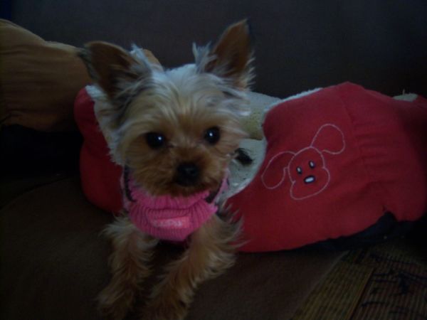 Cici Wearing Her Pink Sweater